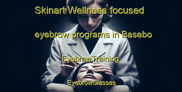 Skinart Wellness-focused eyebrow programs in Basebo | EyebrowTraining | EyebrowClasses | SkinartTraining-Sweden