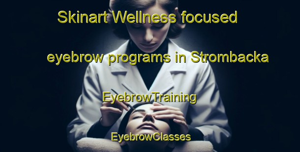 Skinart Wellness-focused eyebrow programs in Strombacka | EyebrowTraining | EyebrowClasses | SkinartTraining-Sweden