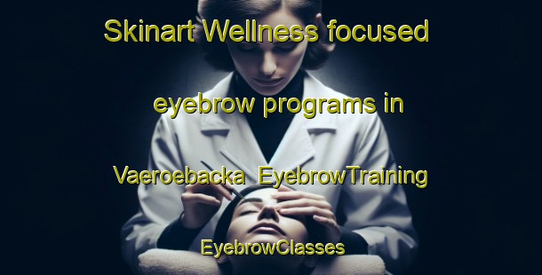Skinart Wellness-focused eyebrow programs in Vaeroebacka | EyebrowTraining | EyebrowClasses | SkinartTraining-Sweden