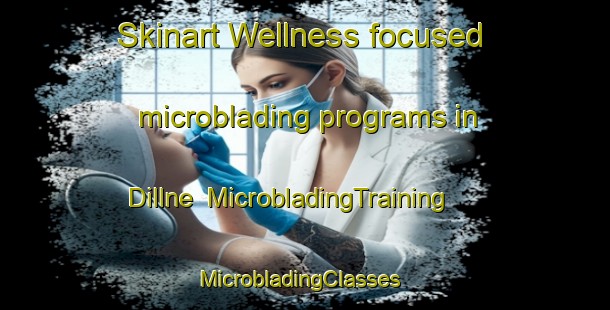 Skinart Wellness-focused microblading programs in Dillne | MicrobladingTraining | MicrobladingClasses | SkinartTraining-Sweden