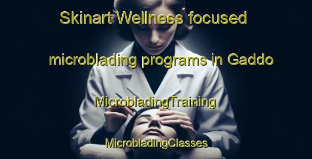 Skinart Wellness-focused microblading programs in Gaddo | #MicrobladingTraining #MicrobladingClasses #SkinartTraining-Sweden