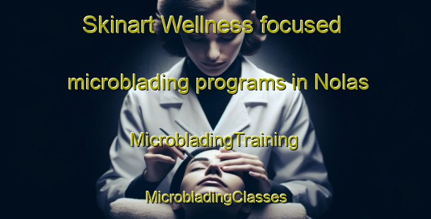 Skinart Wellness-focused microblading programs in Nolas | #MicrobladingTraining #MicrobladingClasses #SkinartTraining-Sweden