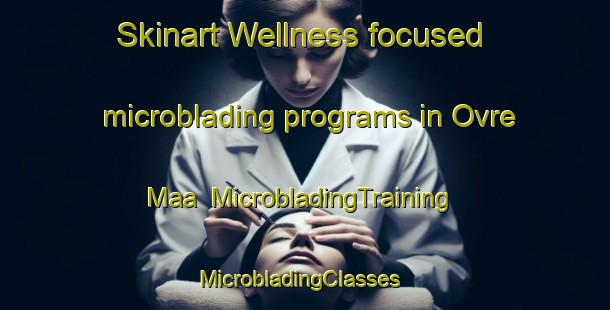 Skinart Wellness-focused microblading programs in Ovre Maa | MicrobladingTraining | MicrobladingClasses | SkinartTraining-Sweden