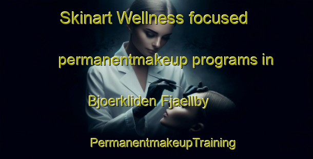 Skinart Wellness-focused permanentmakeup programs in Bjoerkliden Fjaellby | #PermanentmakeupTraining #PermanentmakeupClasses #SkinartTraining-Sweden