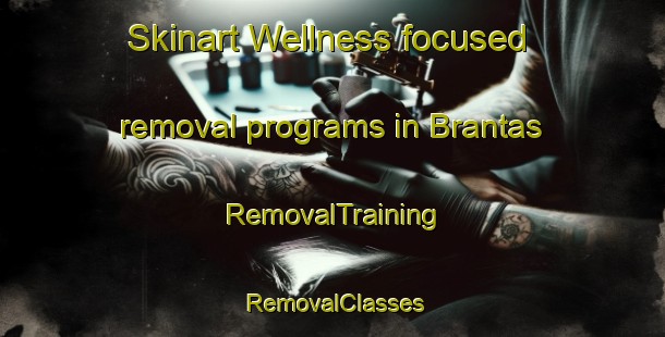 Skinart Wellness-focused removal programs in Brantas | RemovalTraining | RemovalClasses | SkinartTraining-Sweden