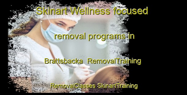 Skinart Wellness-focused removal programs in Brattsbacka | #RemovalTraining #RemovalClasses #SkinartTraining-Sweden