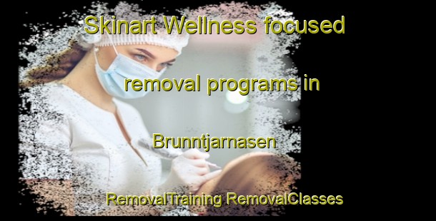 Skinart Wellness-focused removal programs in Brunntjarnasen | #RemovalTraining #RemovalClasses #SkinartTraining-Sweden