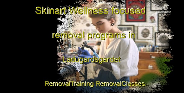 Skinart Wellness-focused removal programs in Ladugardsgardet | #RemovalTraining #RemovalClasses #SkinartTraining-Sweden