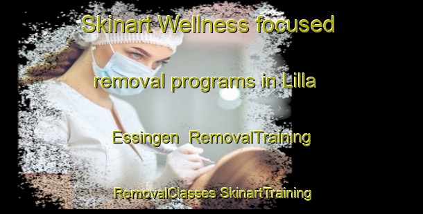 Skinart Wellness-focused removal programs in Lilla Essingen | #RemovalTraining #RemovalClasses #SkinartTraining-Sweden