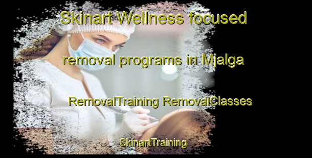 Skinart Wellness-focused removal programs in Mjalga | #RemovalTraining #RemovalClasses #SkinartTraining-Sweden