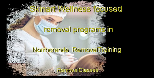 Skinart Wellness-focused removal programs in Norrhorende | RemovalTraining | RemovalClasses | SkinartTraining-Sweden