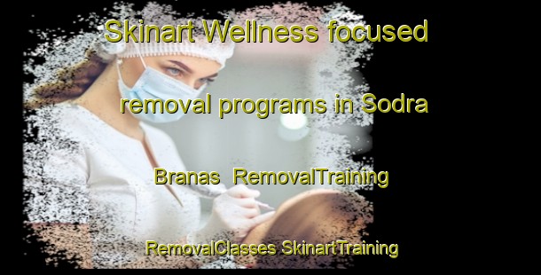 Skinart Wellness-focused removal programs in Sodra Branas | #RemovalTraining #RemovalClasses #SkinartTraining-Sweden