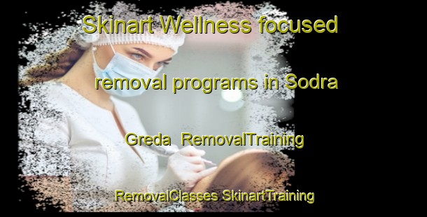 Skinart Wellness-focused removal programs in Sodra Greda | #RemovalTraining #RemovalClasses #SkinartTraining-Sweden