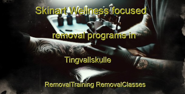 Skinart Wellness-focused removal programs in Tingvallskulle | #RemovalTraining #RemovalClasses #SkinartTraining-Sweden