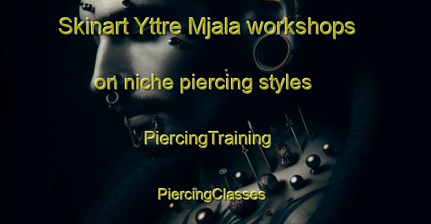 Skinart Yttre Mjala workshops on niche piercing styles | PiercingTraining | PiercingClasses | SkinartTraining-Sweden